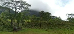 The Off Road Homestay - Pattiyamulla