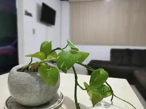 La Casa del Oso Querétaro *Cerca del Centro* - Alvarado