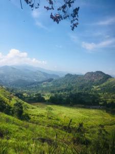 The Off Road Homestay