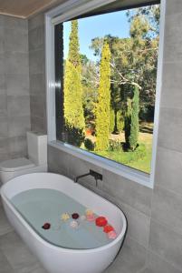 The Cutting Mount Panorama