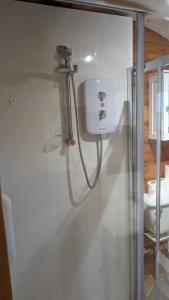 Snowdonia Log Cabin 2