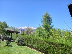 Студио Snow day в Green life в Банско