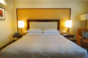 Sheraton Grand Pune Bund Garden Hotel