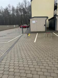 Geriausios Atostogos