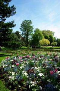 Nouvel appart cosy, centre Tours