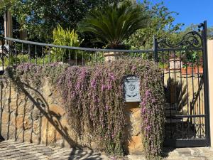 Villa Dei Fiori - casa vacanza img3