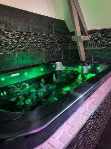 Appart'hotels Domaine de la Besnerie Gites avec SPA Privatif a 10 min du Mont St Michel : photos des chambres