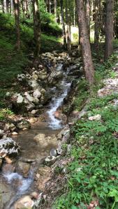 Ferienwohnung Doffenmühle