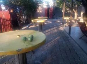 Mauro Lodge - Ambondro