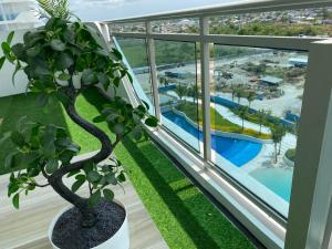 Muji Inspired Beach view