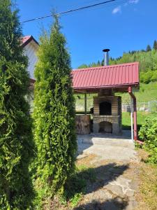 Карпатська Мавка