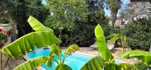 Piero's Apartment - Barbusi