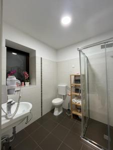 Apartment Arena