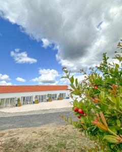 Valle D`Água - Casas de campo