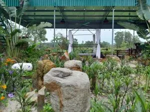 Mina Café & Stay - Làng Liễu