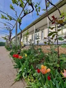 Casa din Port - Babadau