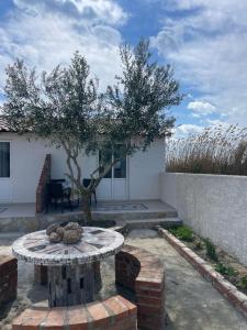 Diarla's Home 4