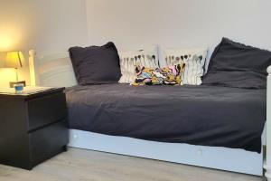 Appartements Studio centre-ville a 5 kms des portes de Paris : photos des chambres