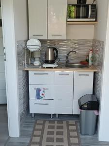 Staś-przy szkole nr3 w Skawie