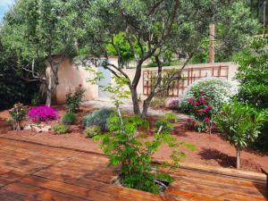 Villas Villa en Provence Summer Vibes : photos des chambres