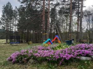 Kuća za odmor Đurđević