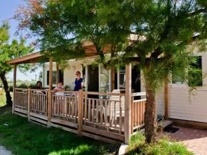 Camping Le Clos du Rhône - Cave de la Pinède