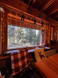 ~Chalet_Rifugio tra i boschi~