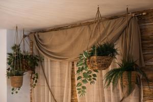 HarmoNee - Central Retreat