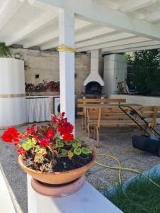 Le Case dei Pescatori - Villa delle Rose