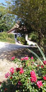 Sejours a la campagne Au lezard dore : photos des chambres