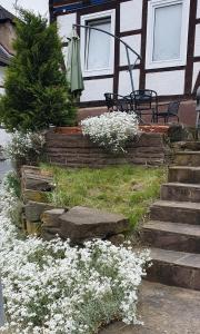 Apartaments Am Schloß