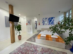 Appartements Studio 11 Bis : photos des chambres
