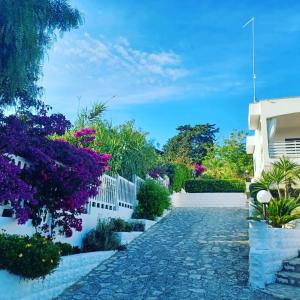 Villa Romana Aurora