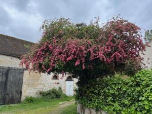 B&B / Chambres d'hotes Les Amis du Moulin : photos des chambres