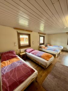 SKILL Mountain Lodge - Ski und Bike Hostel im Sommer mit JOKER CARD