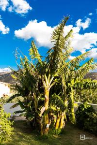 BeLocations - Le Casette di Solanas img12