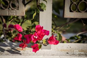 BeLocations - Le Casette di Solanas img13