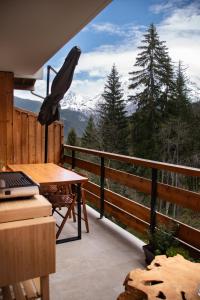 Studio cabine Au Loup Blanc avec vue Mont Blanc