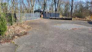 Sternen- und Milchstraßenblick