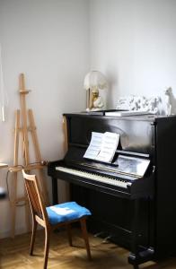 Lovely central flat with soul by the river Wisła