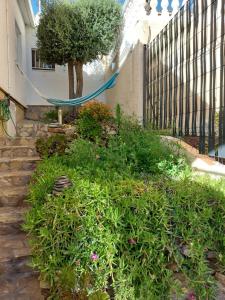 Appartement Mas Fumats Rosas