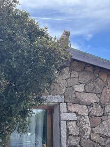 Il Nido dei Venti img30