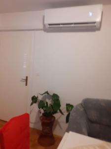 Apartman Sunce 