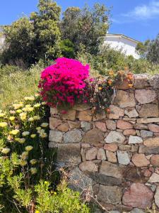 Il Nido dei Venti img31