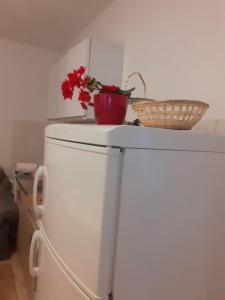 Apartman Sunce 