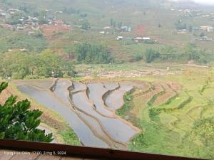 Sapa rice field view