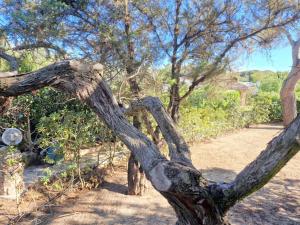 Villa Ibiscus, Notteri img8