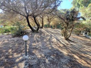 Villa Ibiscus, Notteri img18