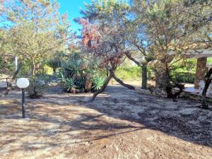 Villa Ibiscus, Notteri img36