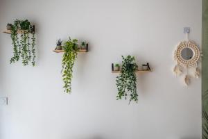 Appartements Le Bambou: Grand studio au calme, Climatise, 5 min de la Gare : photos des chambres
